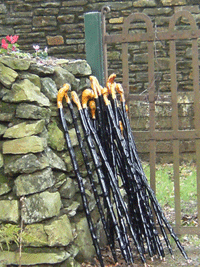 Irish Blackthorn Walking Stick.