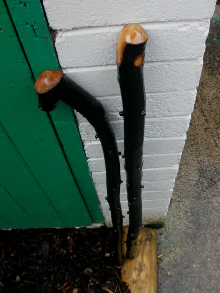 Irish Blackthorn Walking Stick